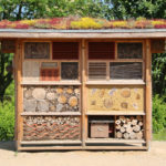 Ein Bienenhaus in der Natur