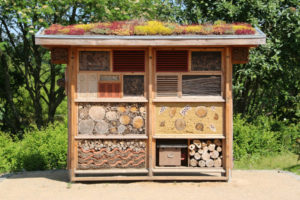 Ein Bienenhaus in der Natur