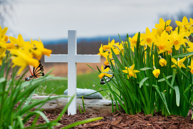 Rindenmulch liegt auf einem Grab mit weißem Kreuz