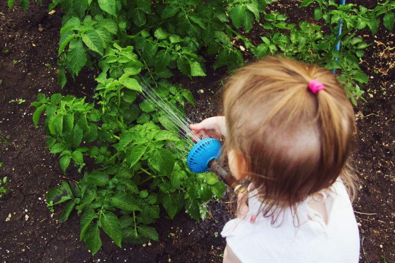 Kind testet Gartenbrause und bewässert Kartoffelpfanzen