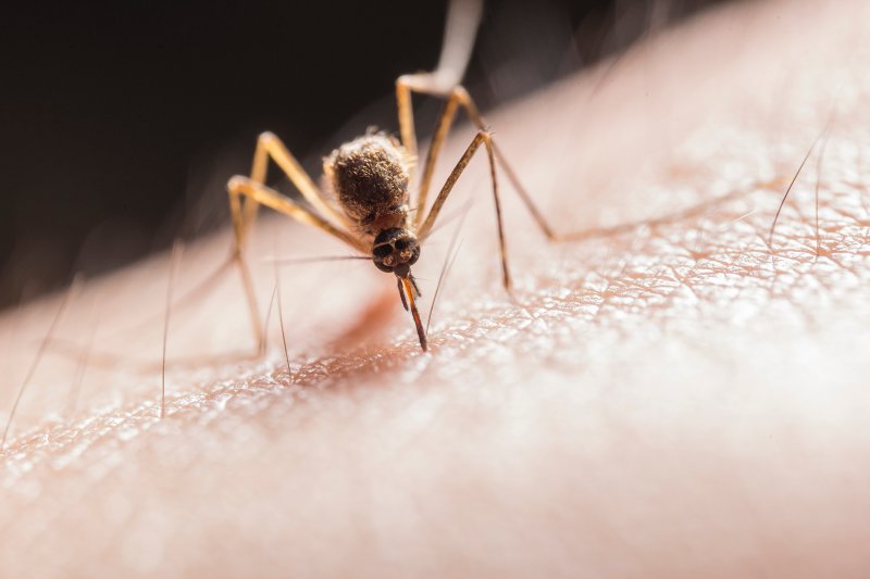 2X Ultraschall Insektenvernichter Mücke Mückenschutz Insektenschutz Mücken Lampe 