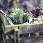 Komposter mit Bioabfall