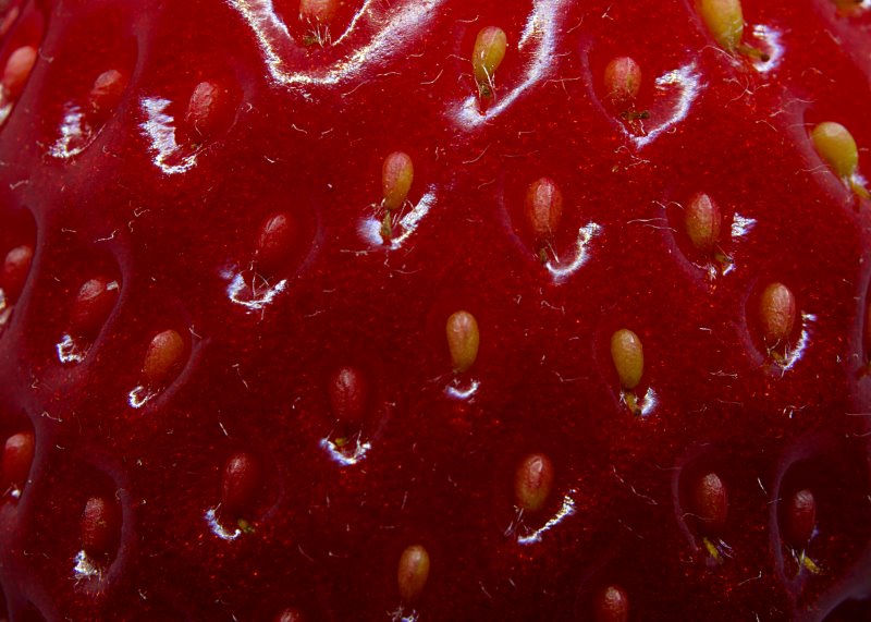 Hier siehst Du die Samen einer Erdbeere. Diese wurden vergrößert dargestellt.