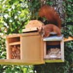 Eichhörnchenhäuser: Test, Vergleich und Kaufratgeber