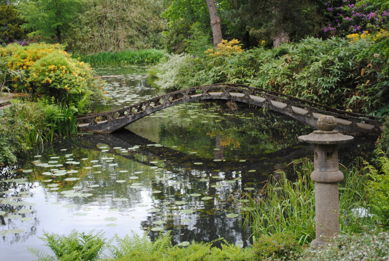 Brücke über einem Teich