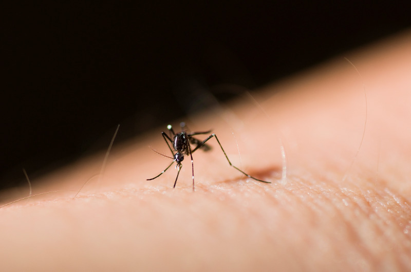 Mückenvernichter UV-Lampe Fluginsekten Insektenvernichter Mückenlampe Moskito 