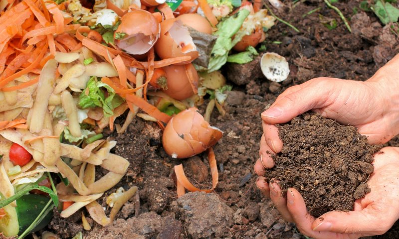 Mit einem Kompost bekommt man aus Abfällen Erde