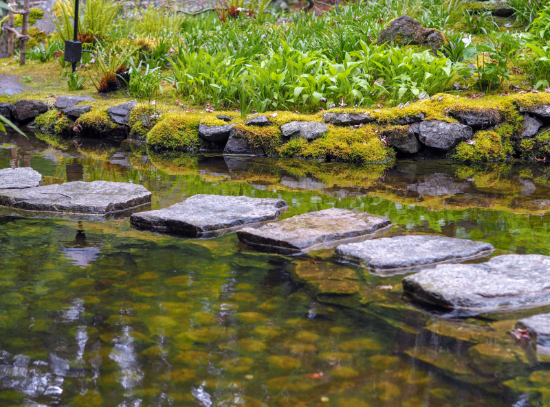 Ein Pfad aus Steinen in einen Teich
